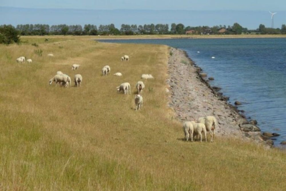 Wohnung in Orth Nahe Ostsee