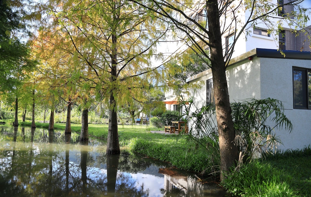 Photo 43
