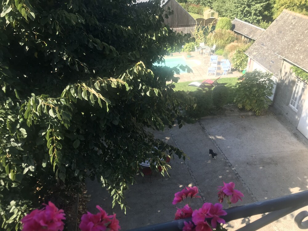 Photo 14
