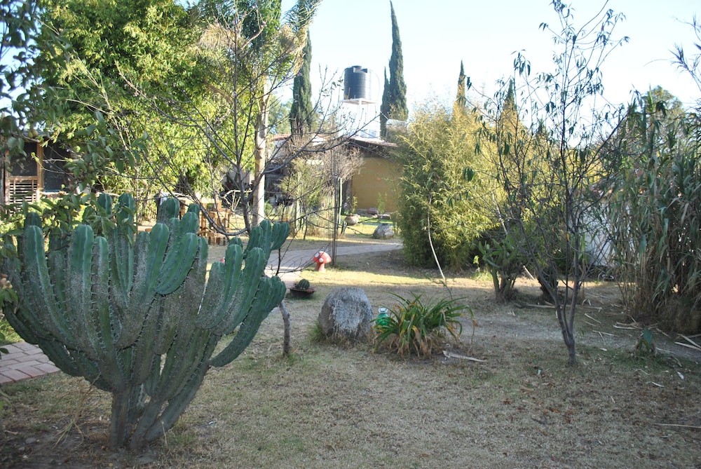 Photo 20