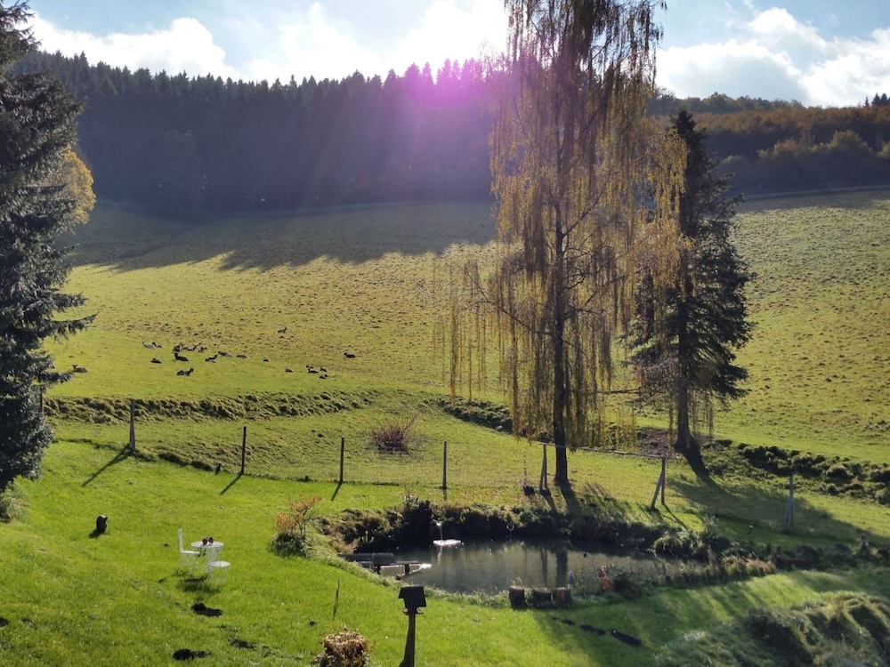 Apartment in Bruchhausen Right on the Fishing River