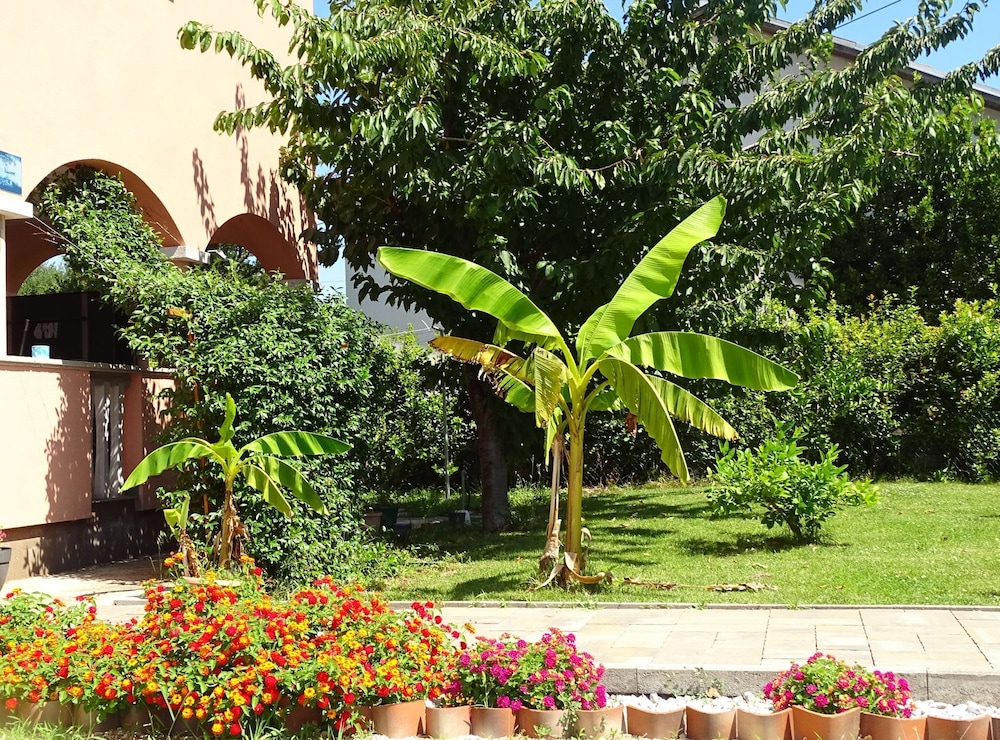 Apartmani Luna