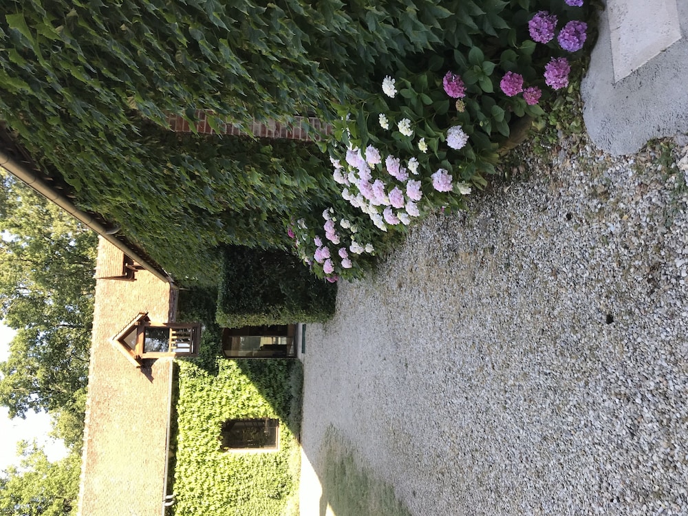 Photo 28
