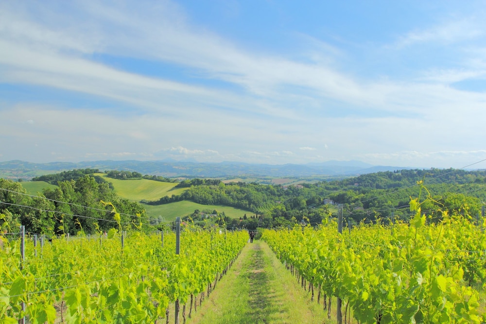 Apartment in Marche Near Urbino and Pool