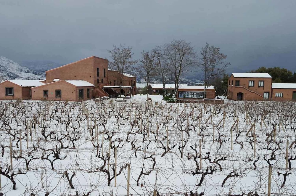 Cavanera Etnea Resort & Wine Experience