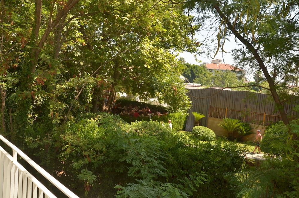 T-House view 2