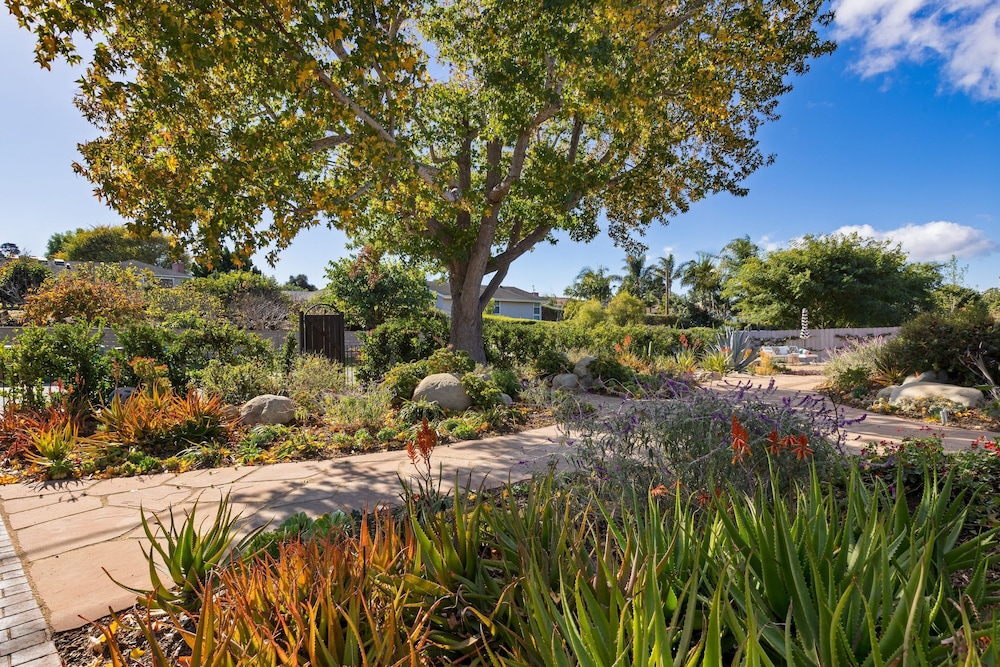 Hummingbird Haven by Avantstay Dog-friendly Near the Beach Huge Yard Hot Tub