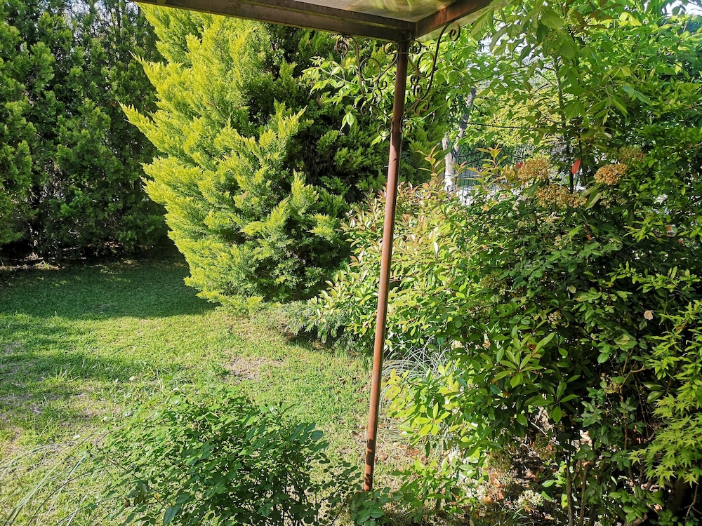Photo 40