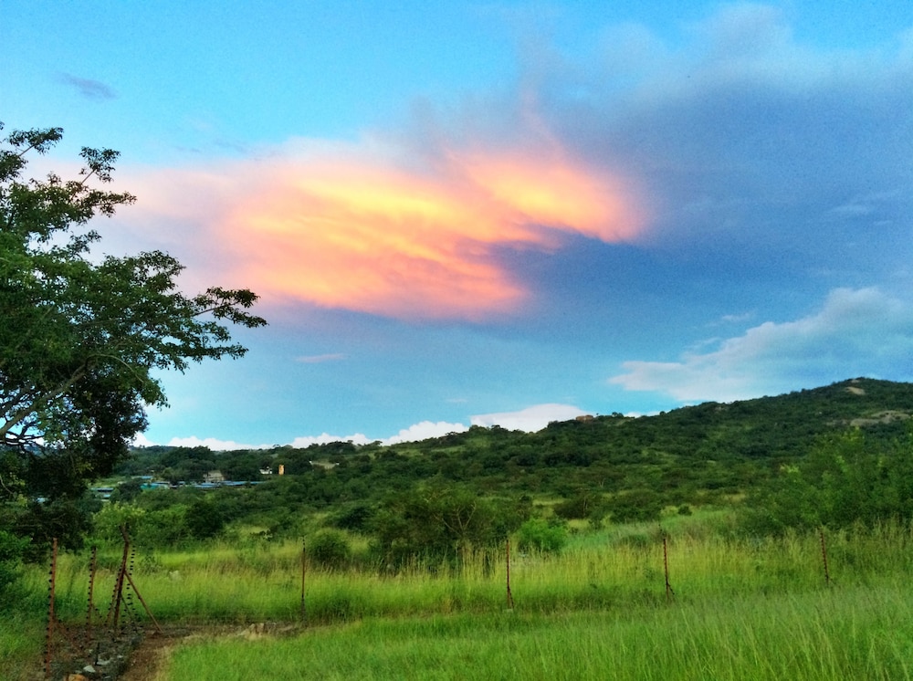 Near2Numbi