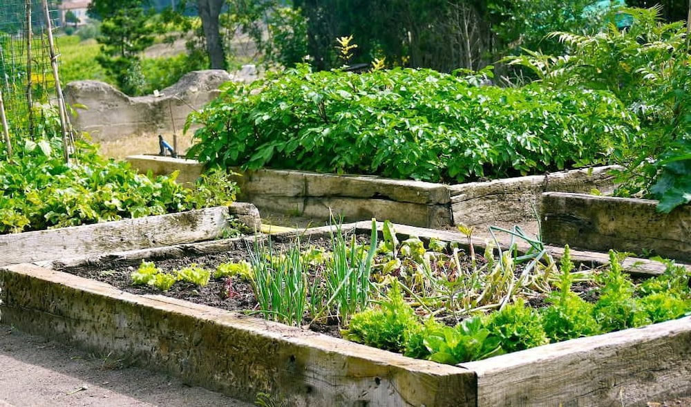 Domaine de la Ramade