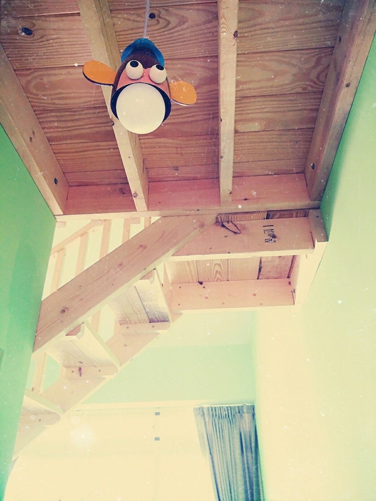 Fly in Sunnyday