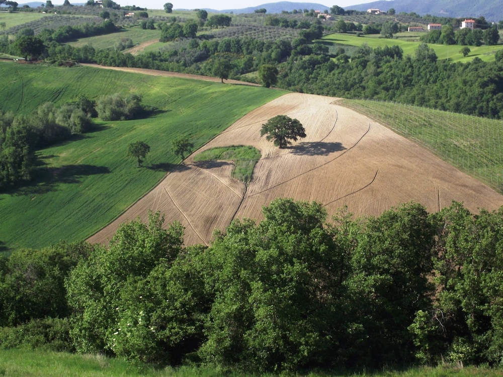 Historic Castle With View view 5