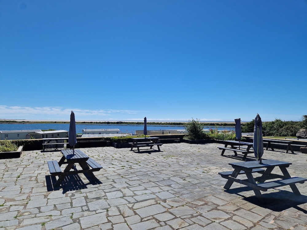 Herdwicks