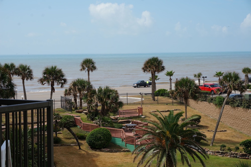 Photo 156