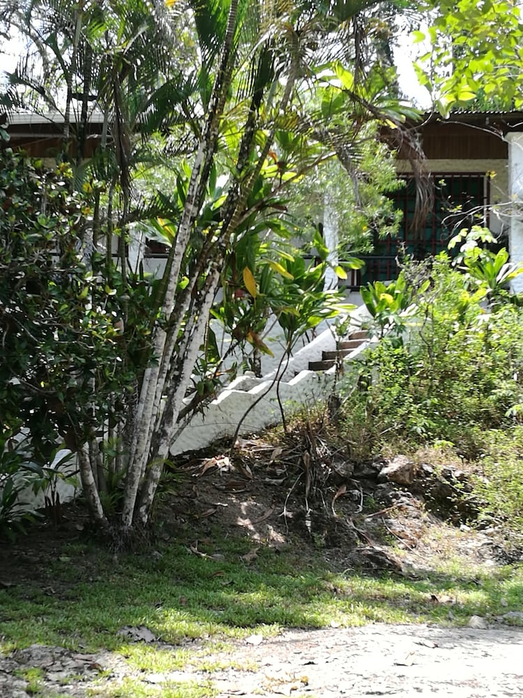 Photo 42