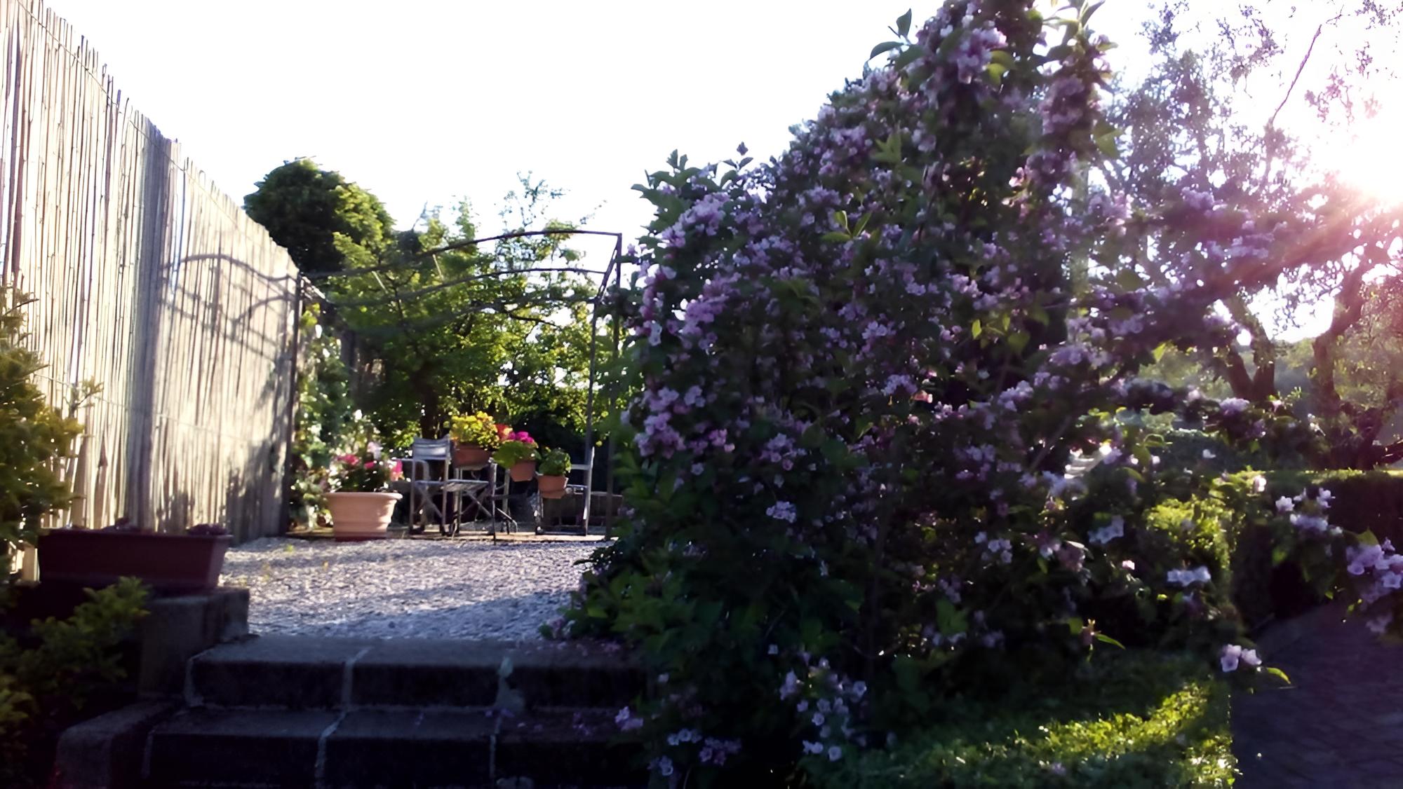 Bed & Breakfast Bigotti view 3