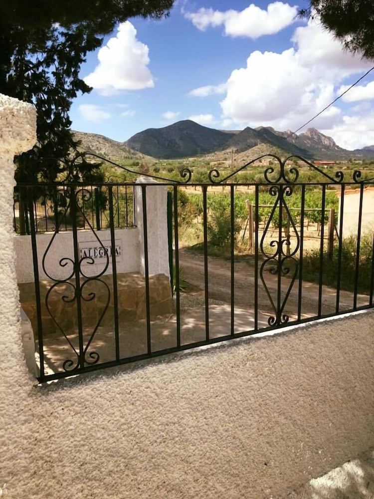 Alegría view 3