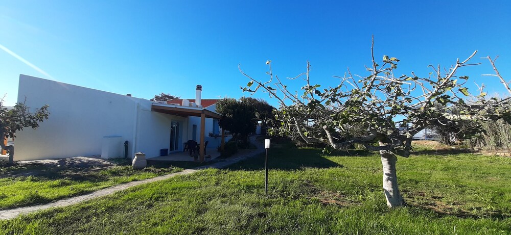 Photo 45
