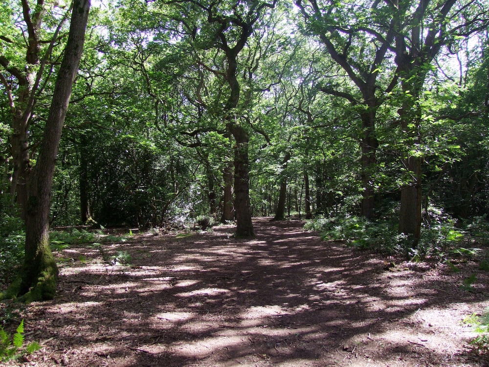 Photo 17
