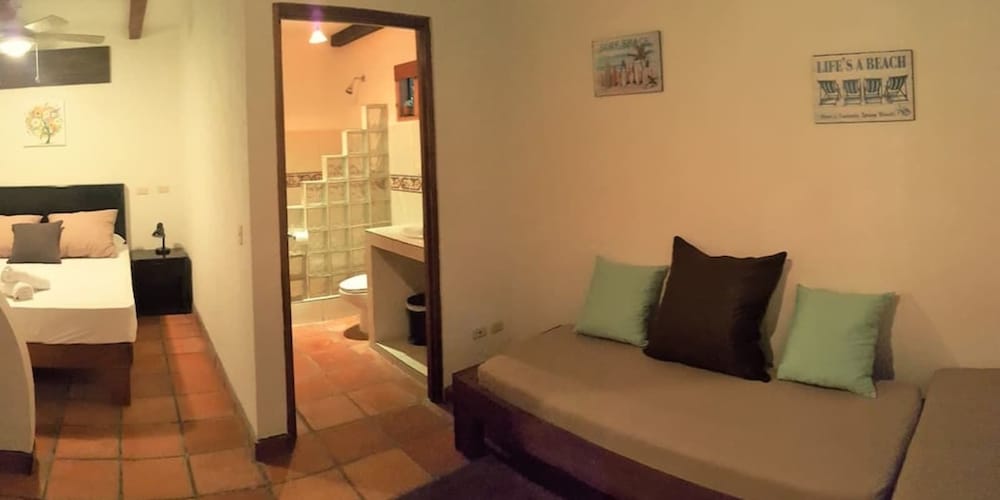 Coco Flat Santa Teresa