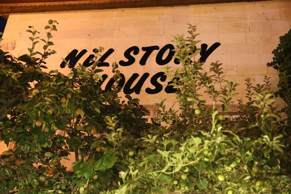Nil Story House