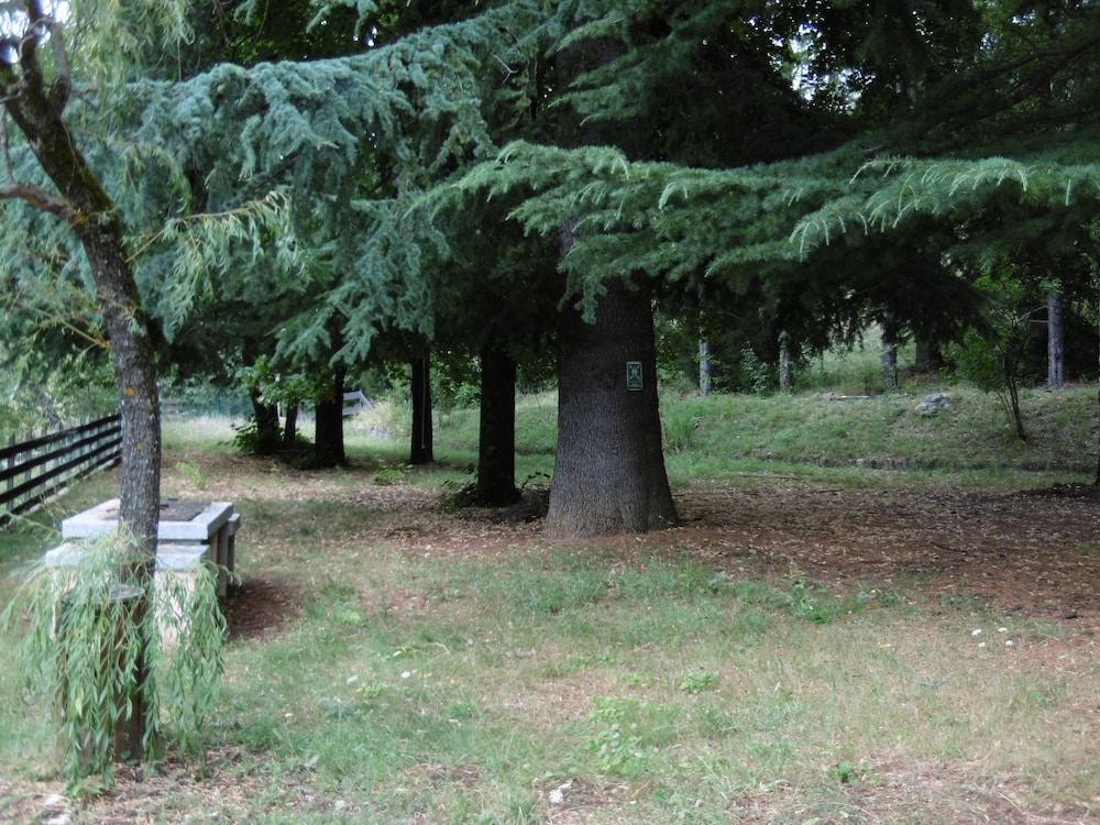 Photo 29