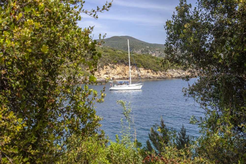 Zavia Apartment 2B photo 2