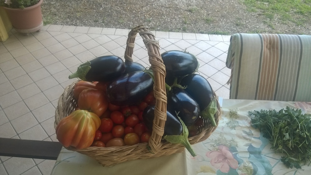 Farmhouse Paradiso