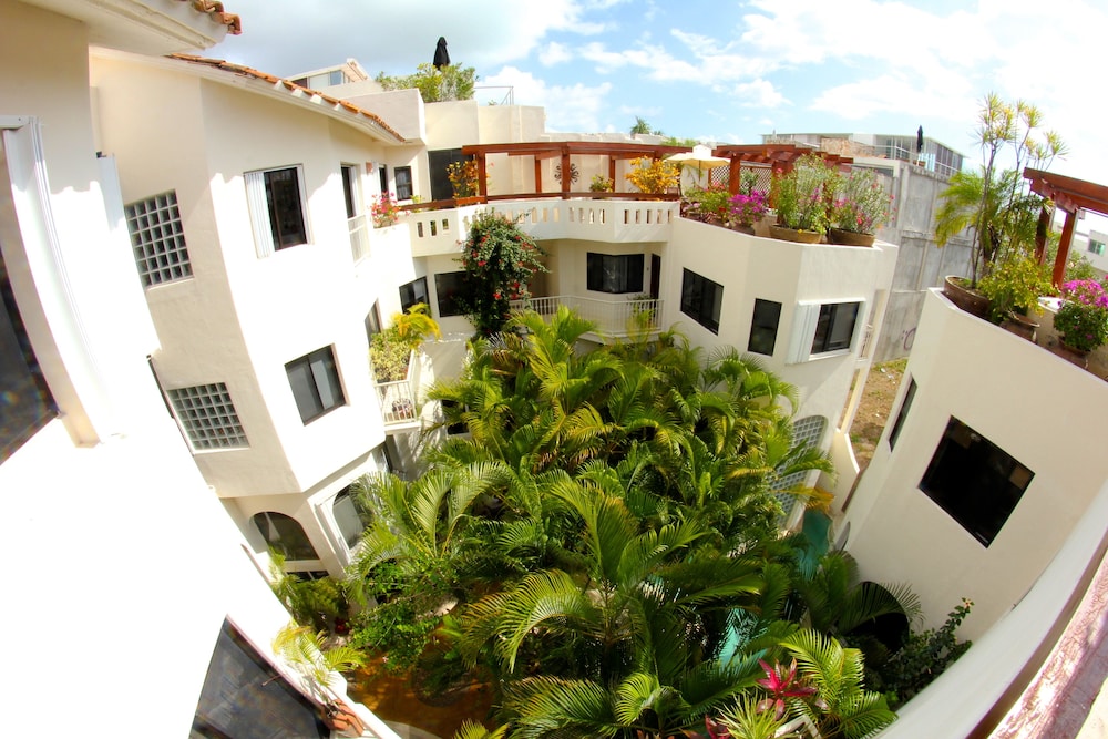 Royal Palms by Bric