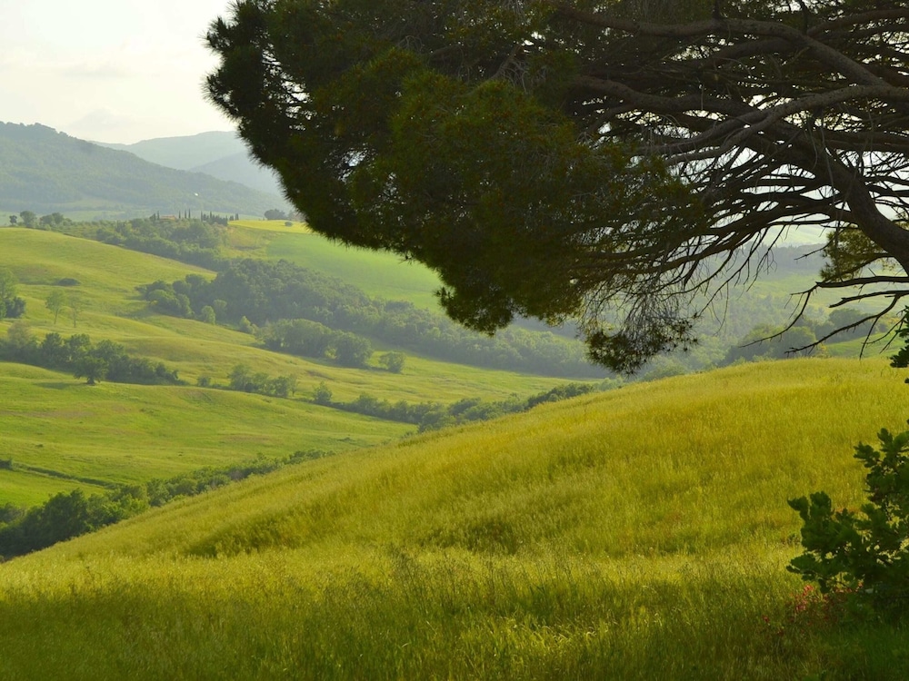 Getaway Amidst Vineyards view 5