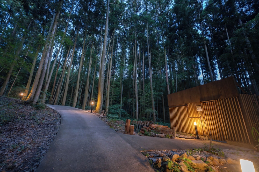 Tsuwabuki-no-Hana, Higashisonogi - 14