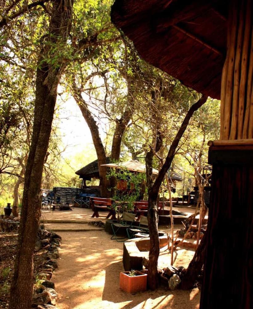 Offbeat Safaris