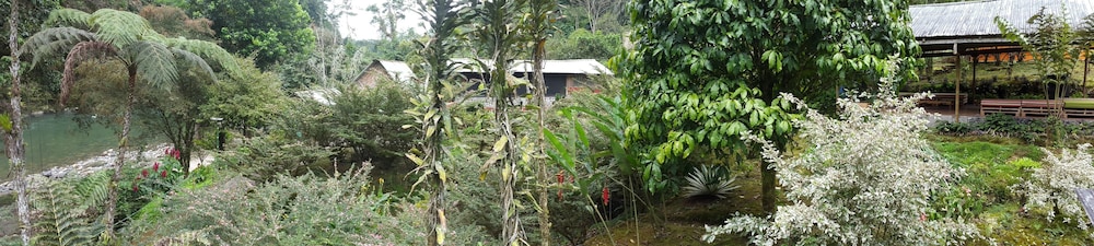 Playa Selva Lodge