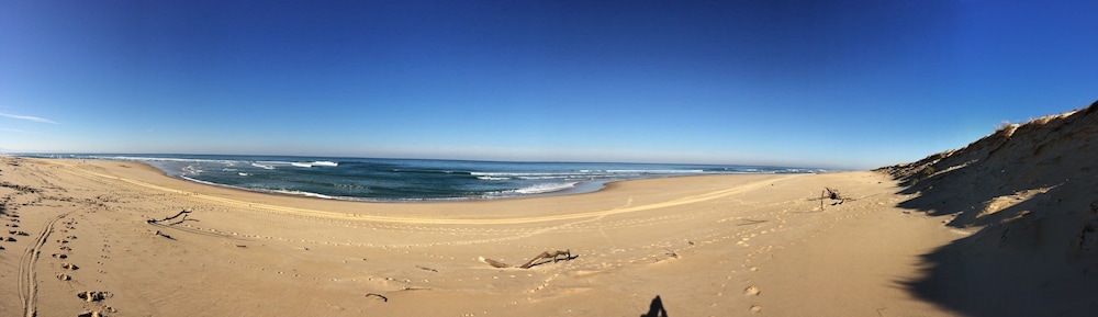 Ocean Shelter