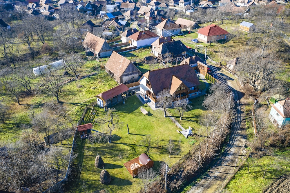 Photo 41
