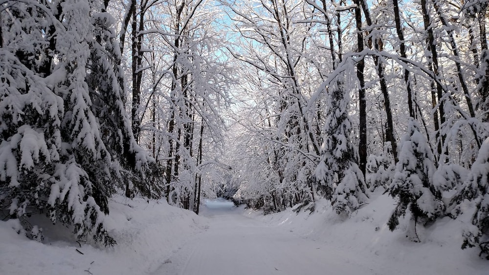 Lakewoods Resort & Lodge