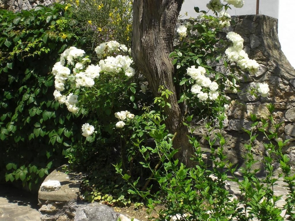 Casa Augusto view 5