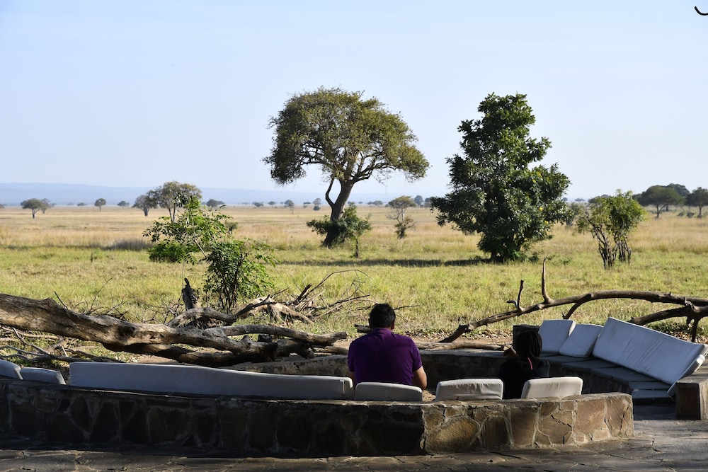 Mikumi Wildlife Camp