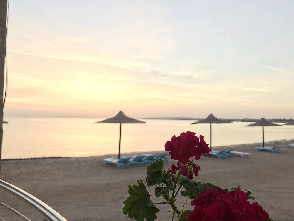 Cecelia Resort