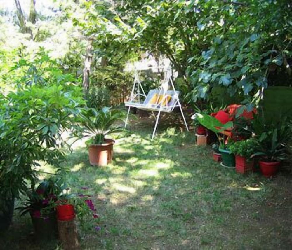 Photo 35