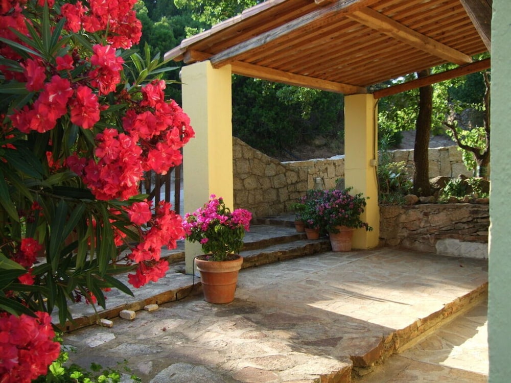 Photo 26