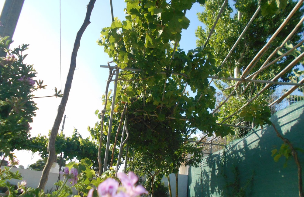 Photo 46