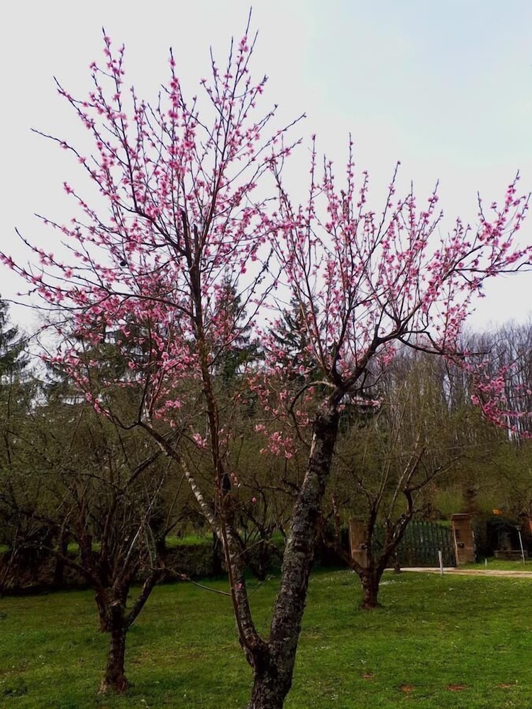 B&B Monticelli