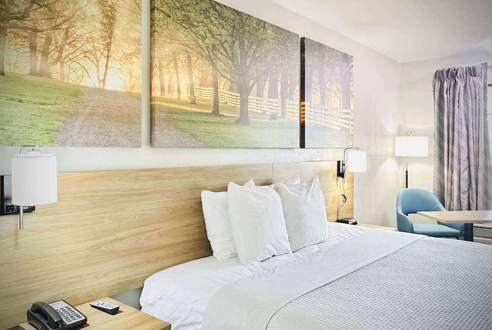 Days Inn by Wyndham WestEnd Alexandria,VA Washington DC Area - Property Image 23