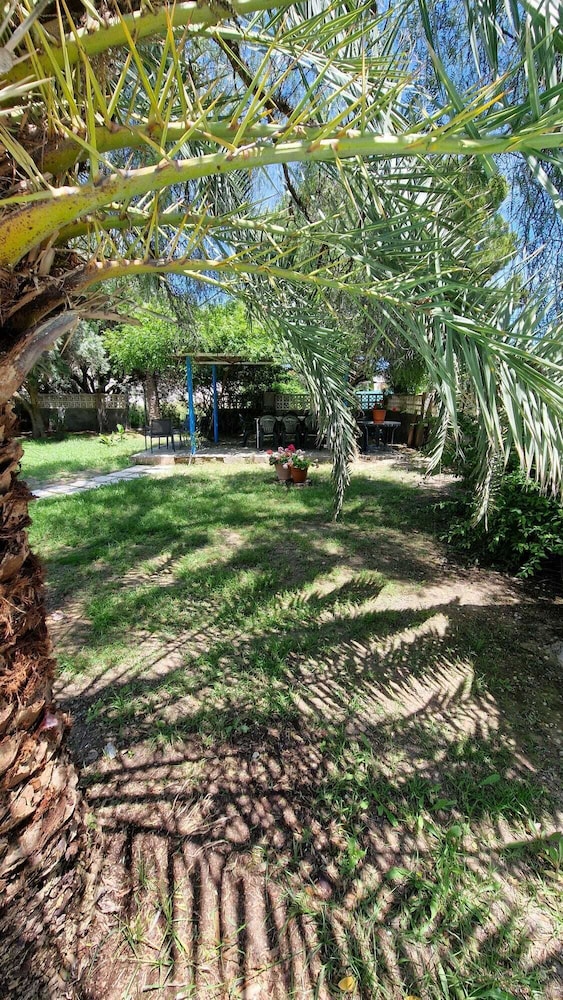 House With Exclusive Pool and Garden 7 min Walk From the Beach and the Center