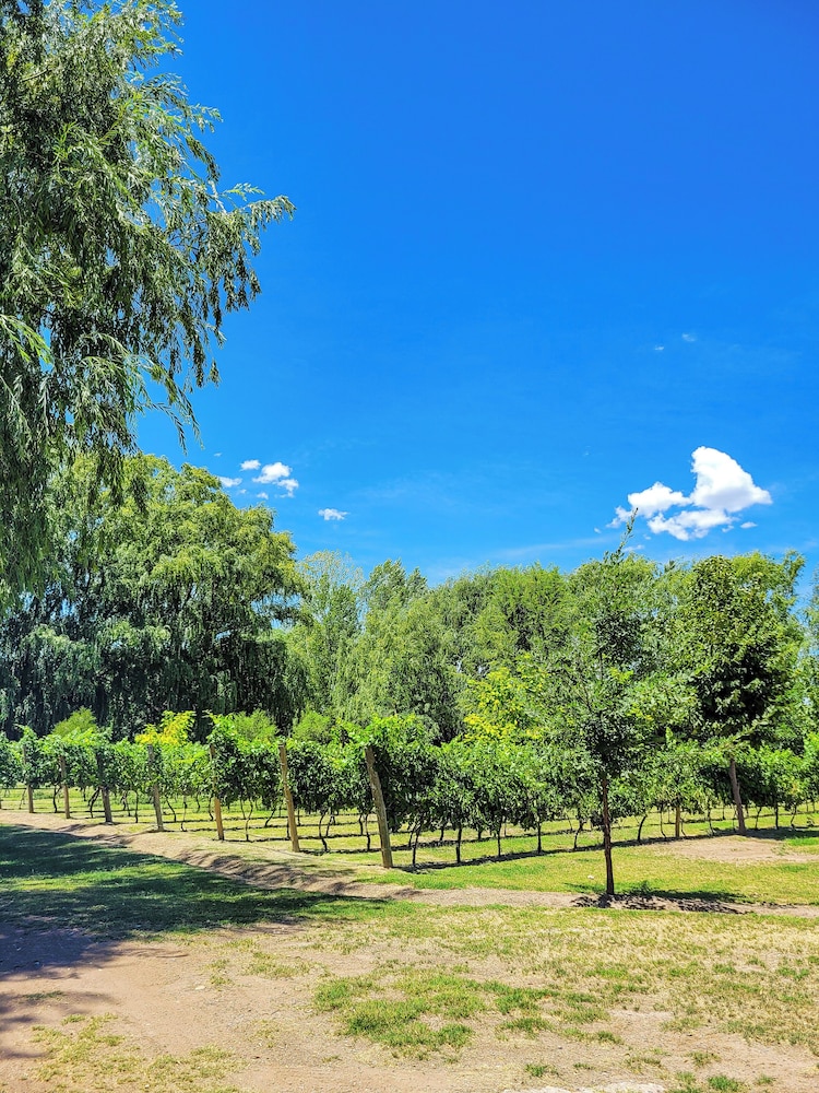 Finca La Saucina
