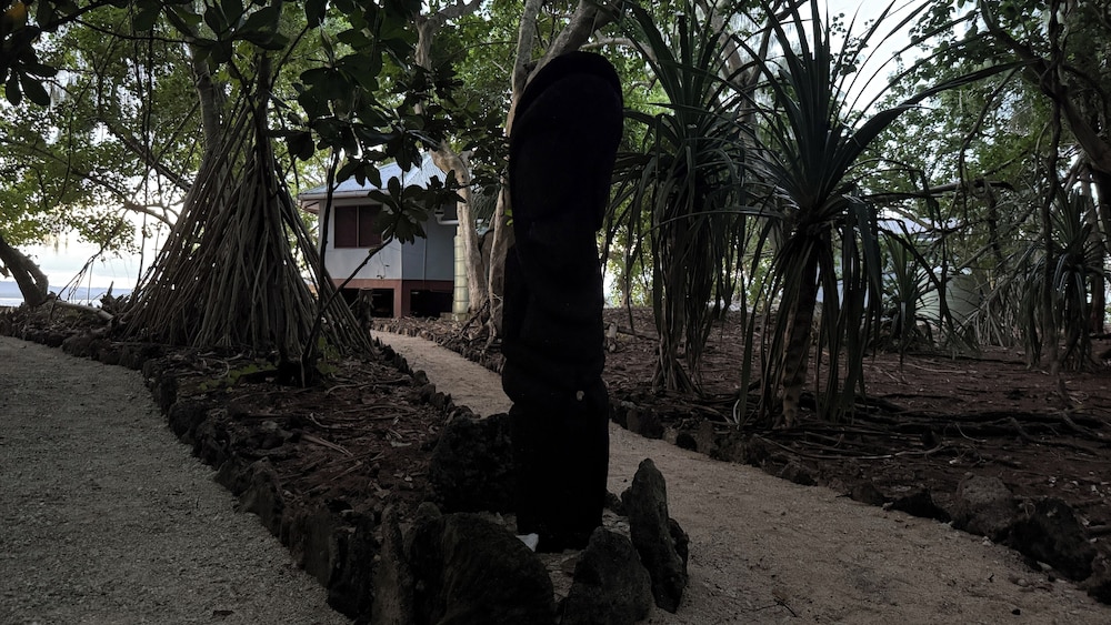 Dany Island