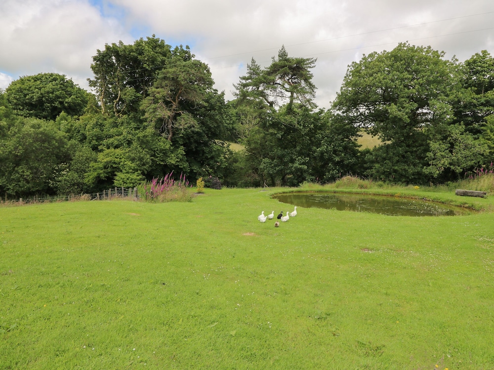 Blaenffynnon Bach
