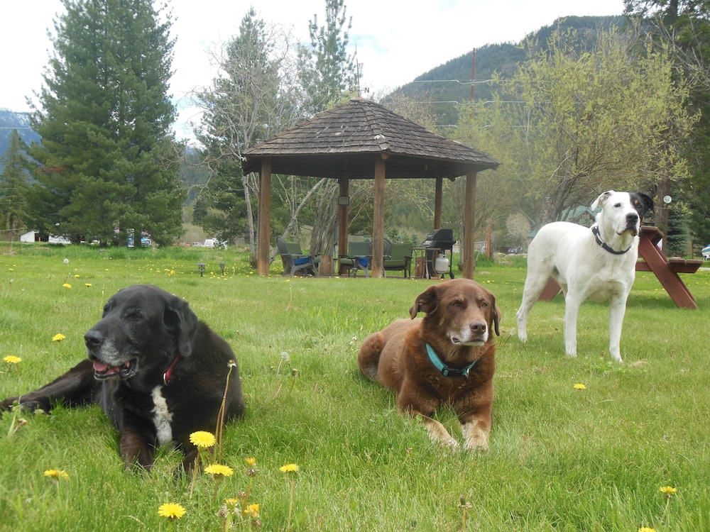 Clark Fork Lodge - Property Image 4