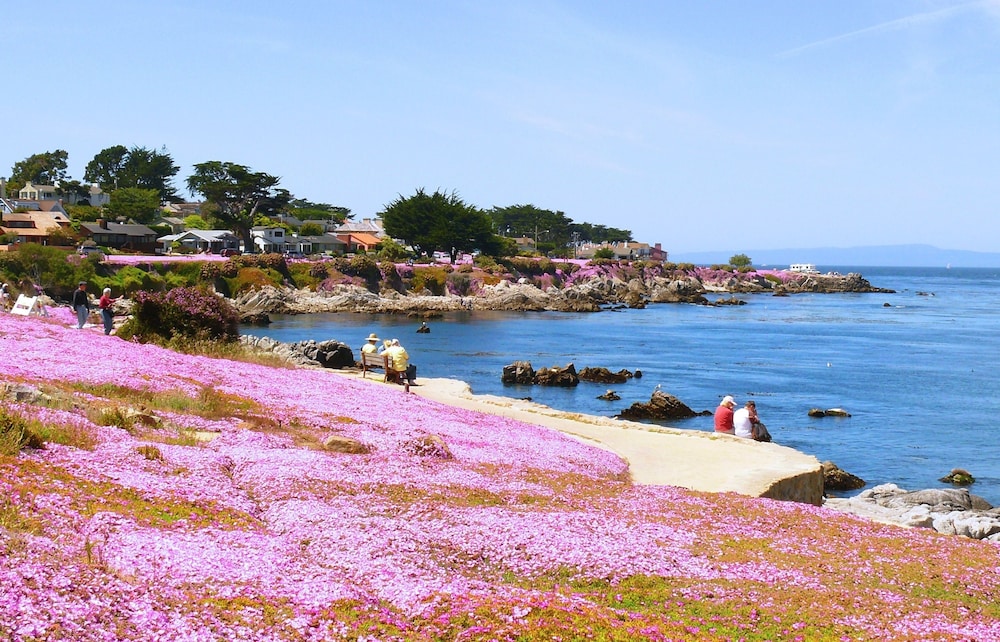 Sea Breeze Inn And Cottages